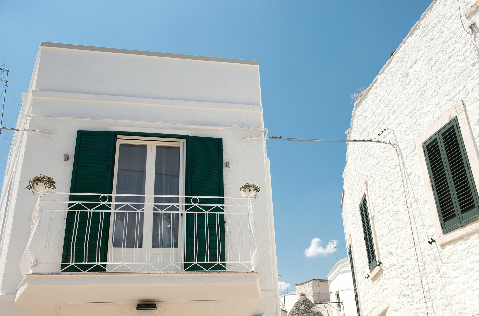 Driade Dei Trulli Αλμπερομπέλο Εξωτερικό φωτογραφία